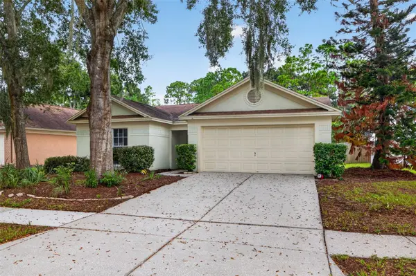 1016 HARDWOOD DR, Valrico, FL 33596