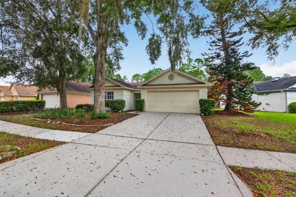 1016 HARDWOOD DR, Valrico, FL 33596
