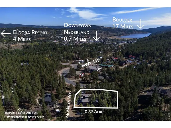 710 McMillen, Nederland, CO 80466