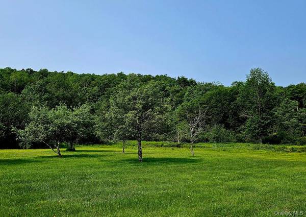 141 Bonnie Brook RD, Roscoe, NY 12776