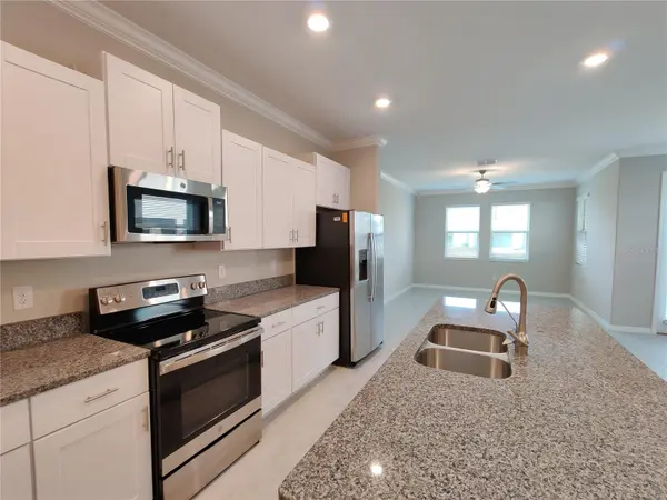 31576 BLUE PASSING LOOP, Wesley Chapel, FL 33545