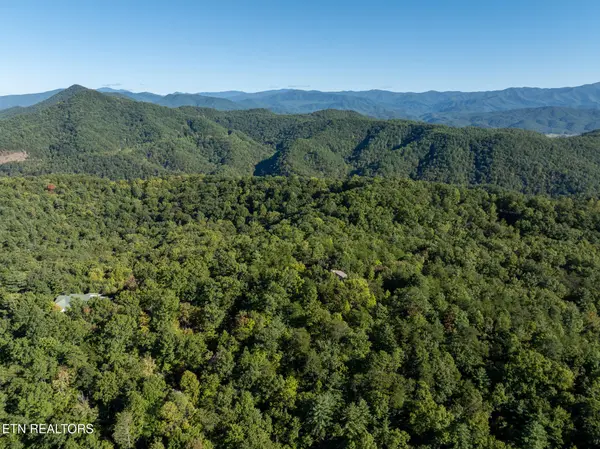 0 Walnut Flats Rd, Walland, TN 37886