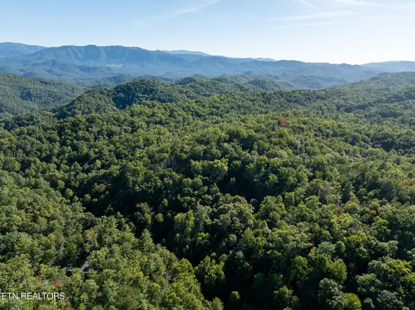 0 Walnut Flats Rd, Walland, TN 37886