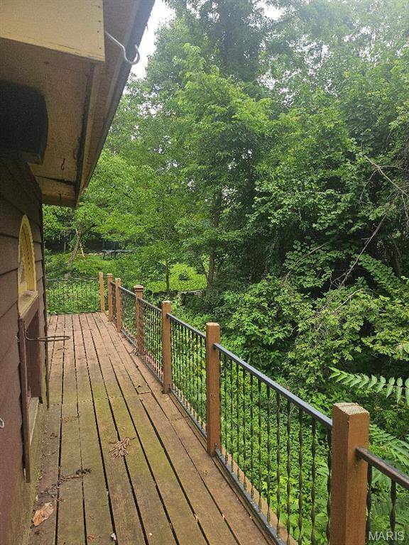 423 S Park AVE, Webster Groves, MO 63119
