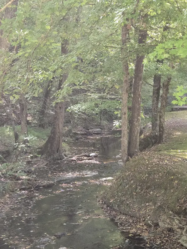 2130 Irwin Branch Rd, Waynesboro, TN 38485