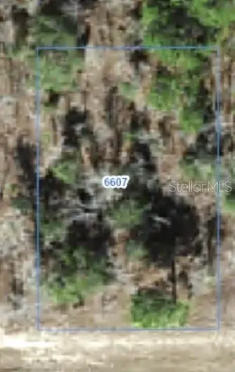 6607 N BEDSTROW BLVD, Citrus Springs, FL 34434