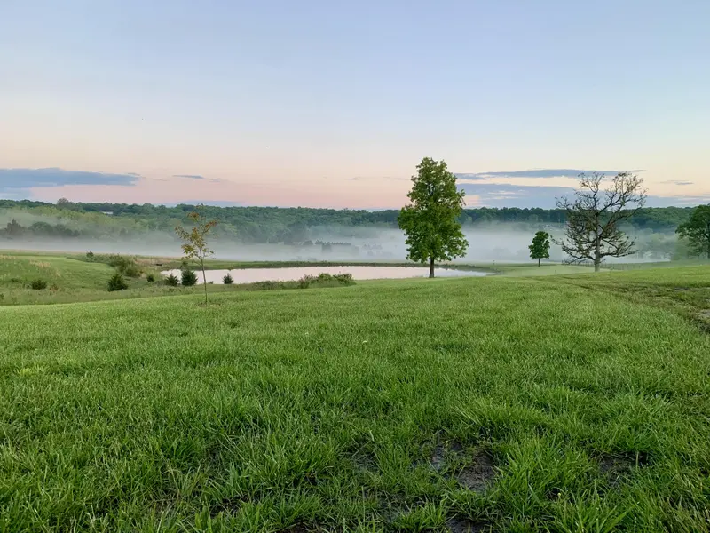 12 Fineview LN, Long Lane, MO 65590