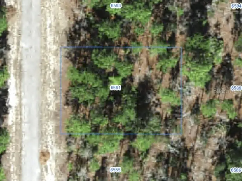 6581 N WINLOCK TER, Citrus Springs, FL 34433