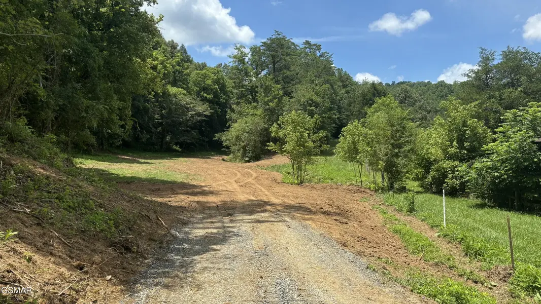 0 Bogard Rd, Cosby, TN 37722
