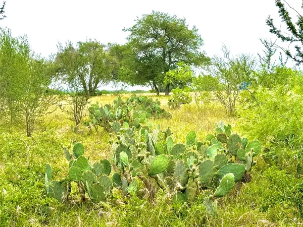 TBD Tract Q FM 108, Smiley, TX 78159