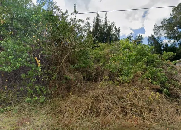 12439 GASPARILLA AVE, Punta Gorda, FL 33955