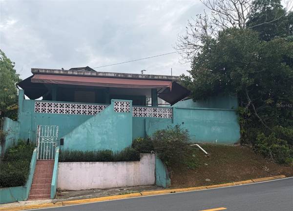 3 RAFAEL LASA, Aguas Buenas, PR 00703