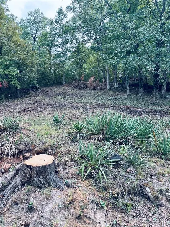 Plat 6 Lot 233 Brown RD, French Village, MO 63036