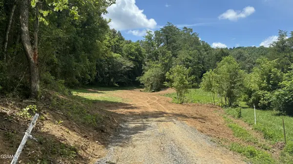 0 Bogard Rd, Cosby, TN 37722