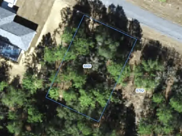 8800 N PARADISEA DR, Citrus Springs, FL 34433