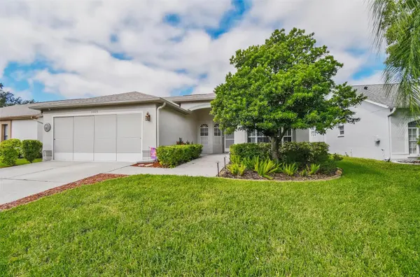 13105 FAULKNER PL, Riverview, FL 33579
