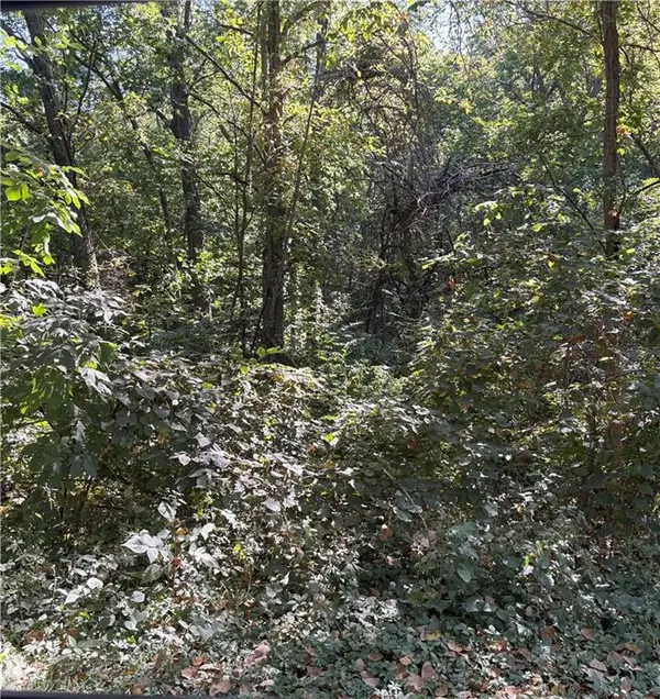 Poplar ST, Excelsior Estates, MO 64062