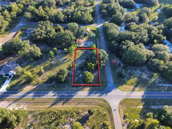 TBD SE 113TH STREET RD, Ocklawaha, FL 32179