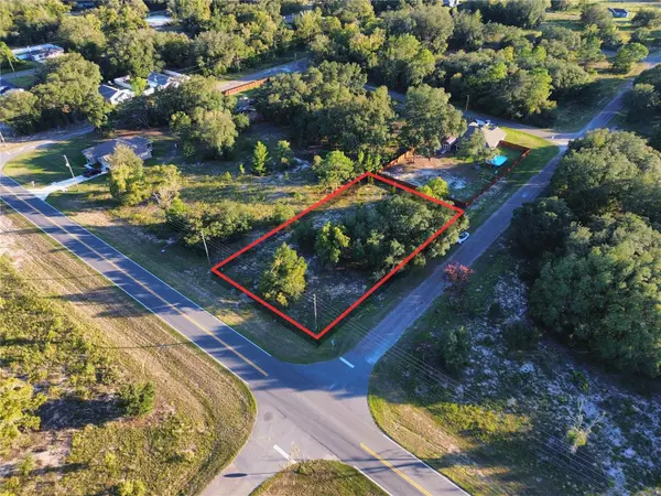 TBD SE 113TH STREET RD, Ocklawaha, FL 32179