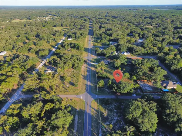 TBD SE 113TH STREET RD, Ocklawaha, FL 32179