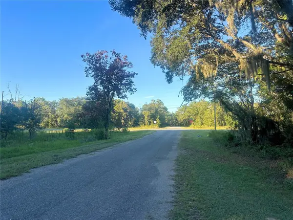 TBD SE 113TH STREET RD, Ocklawaha, FL 32179