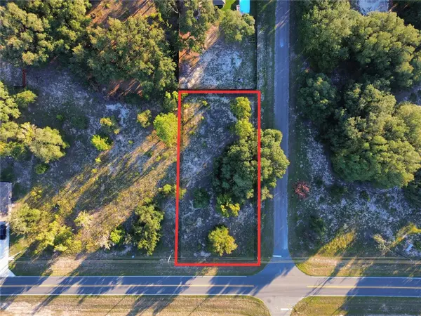 TBD SE 113TH STREET RD, Ocklawaha, FL 32179