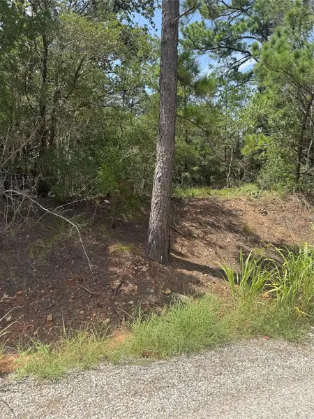 Lot 1252 TBA Hanauma DR, Bastrop, TX 78602