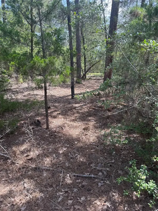 Lot 1252 TBA Hanauma DR, Bastrop, TX 78602