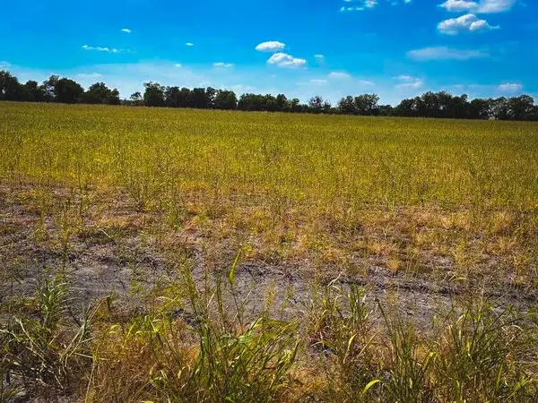 CR 3061 lot 2 HWY, Thorndale, TX 76577