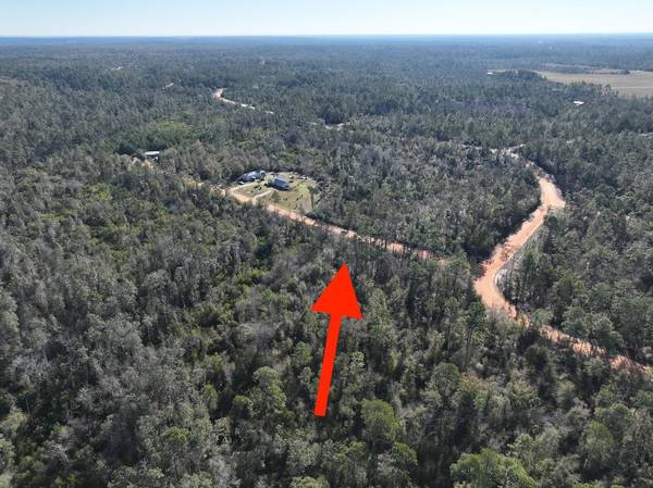 BIENVILLE CT, Alford, FL 32420
