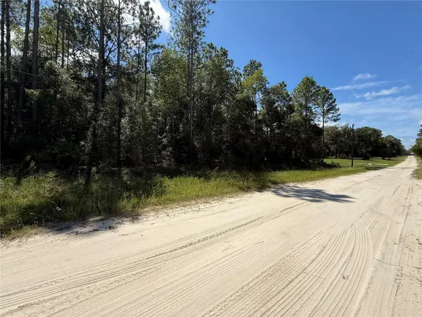 TBD SW 53RD ST, Dunnellon, FL 34432