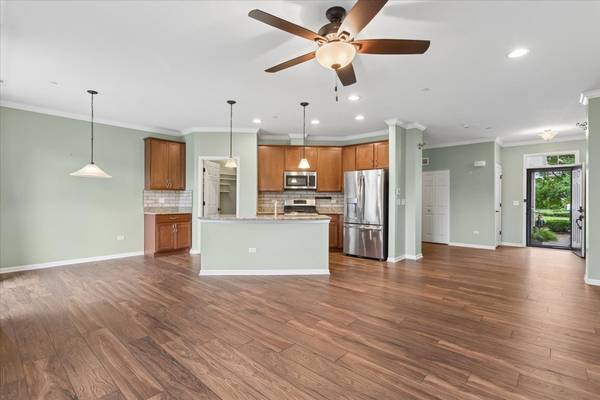 16134 W Coneflower DR, Lockport, IL 60441