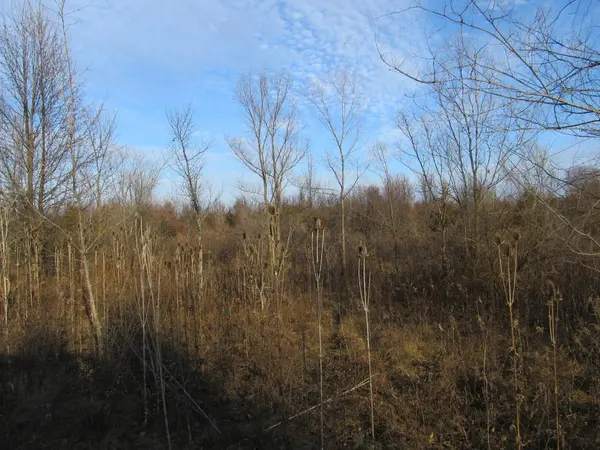 0-lot 9 Grant ST, Merrillville, IN 46410