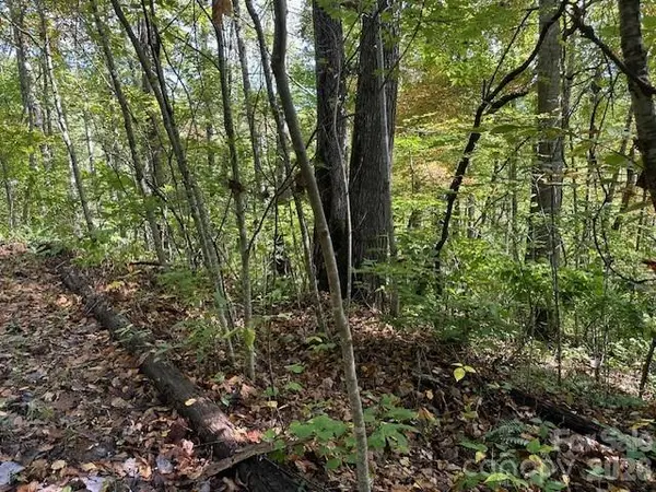 H16-H17 Shady Grove RD, Tuckasegee, NC 28783
