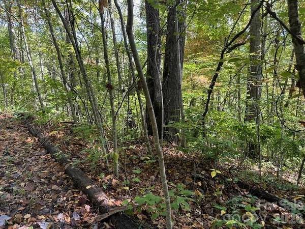 H16-H17 Shady Grove RD, Tuckasegee, NC 28783