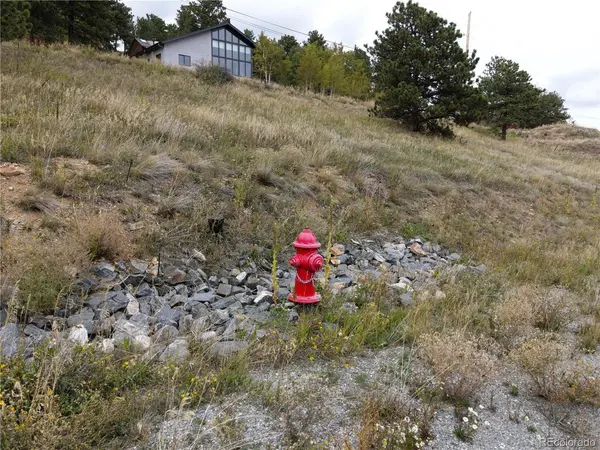 287 Boulder Canyon, Nederland, CO 80466