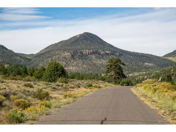 963 Bear Creek, South Fork, CO 81154