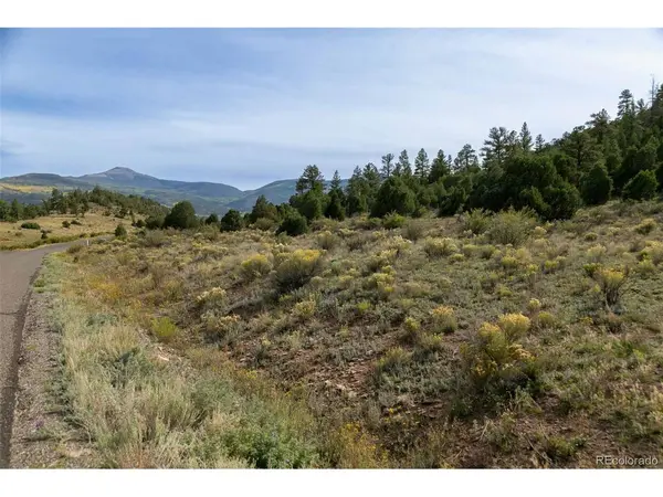 963 Bear Creek, South Fork, CO 81154