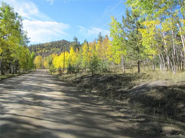 700 Campfire, Hartsel, CO 80449