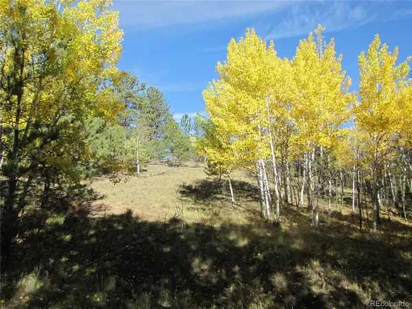 700 Campfire, Hartsel, CO 80449