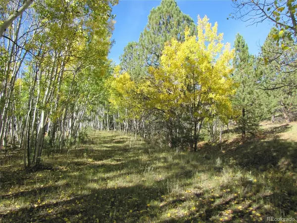 700 Campfire, Hartsel, CO 80449