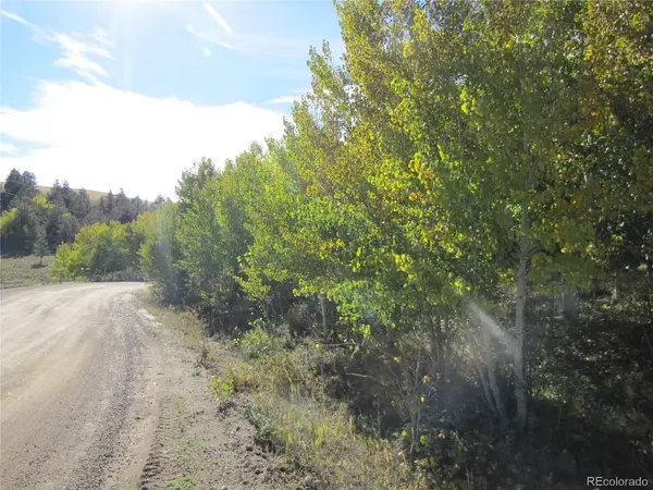 699 Campfire, Hartsel, CO 80449