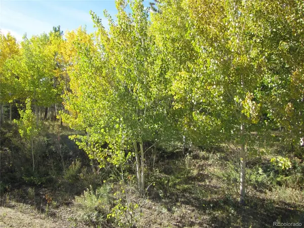 699 Campfire, Hartsel, CO 80449