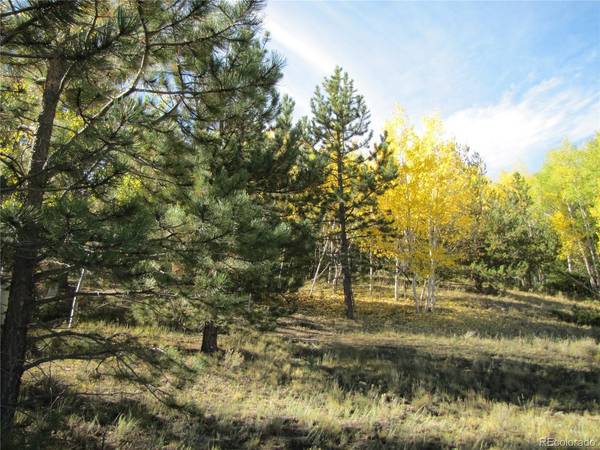 699 Campfire, Hartsel, CO 80449