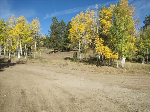666 Bellows, Hartsel, CO 80449