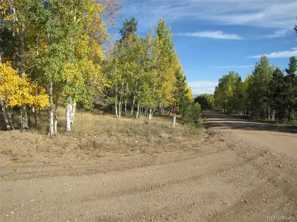 666 Bellows, Hartsel, CO 80449