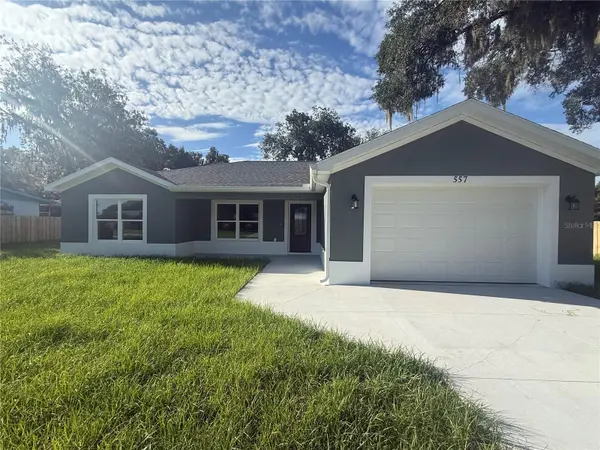 557 COUNTY ROAD 487, Lake Panasoffkee, FL 33538