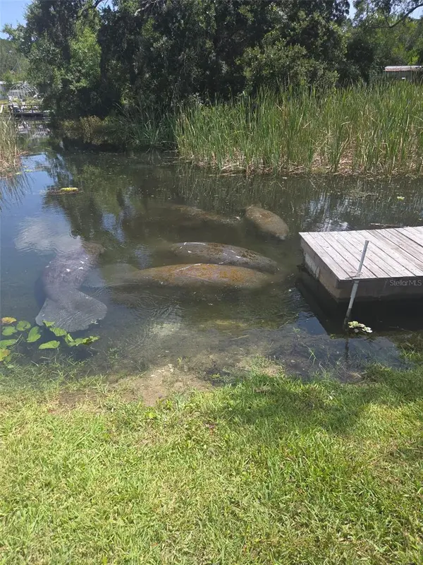 6443 FINANCE AVE, Weeki Wachee, FL 34607