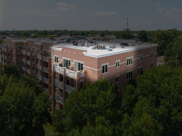 3258 N Harlem AVE #503, Chicago, IL 60634