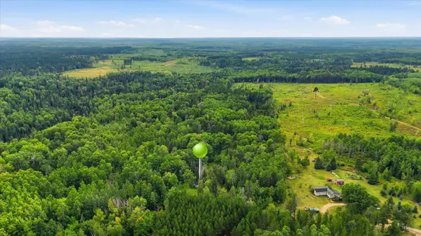 7961 Carpenter RD, Angora, MN 55703
